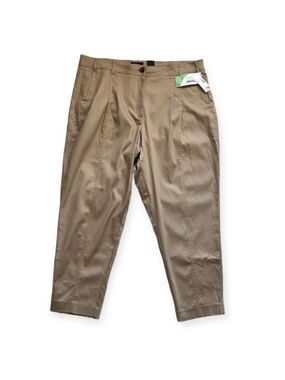 REITMANS Tan NWT Tencel Straight Leg Dress Pants Size 20